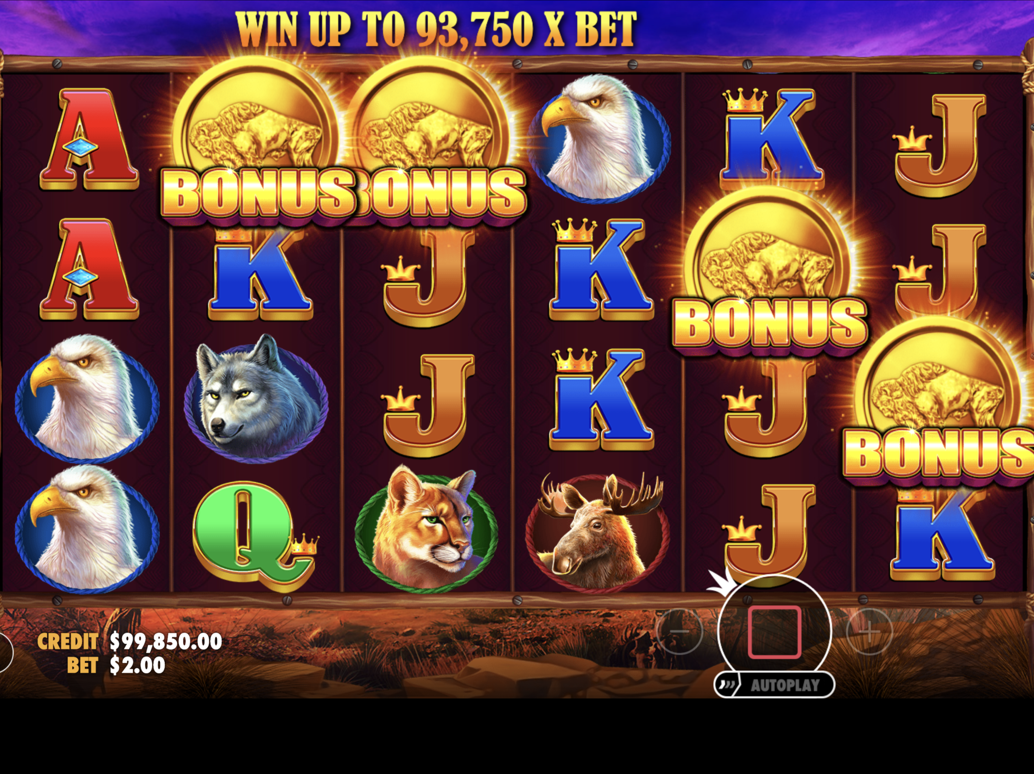 How to play Buffalo King: a practical first-spin walkthrough